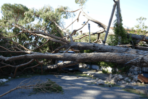Hurricane-Relief