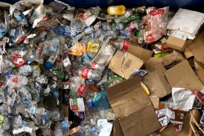 Waste-Audit